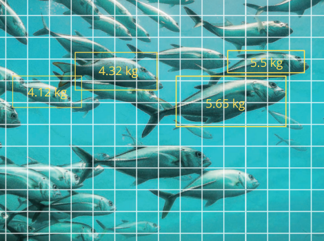 Aetina: Seamless Fish Health Monitoring Maximums Welfare