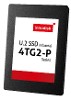 Produktbild U2 SSD 4TG2-P