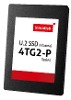 ProduktbildU2 SSD 4TG2-P InnoNAND iCell